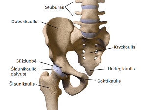 Klubo skausmas