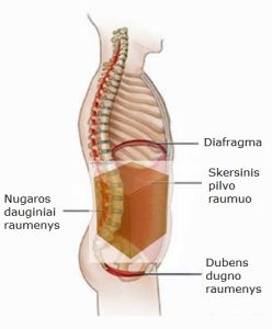 Skersinis pilvo raumuo
