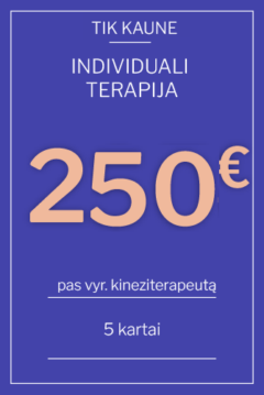Vyr. kineziterapeuto individuali terapija (5 kartai)